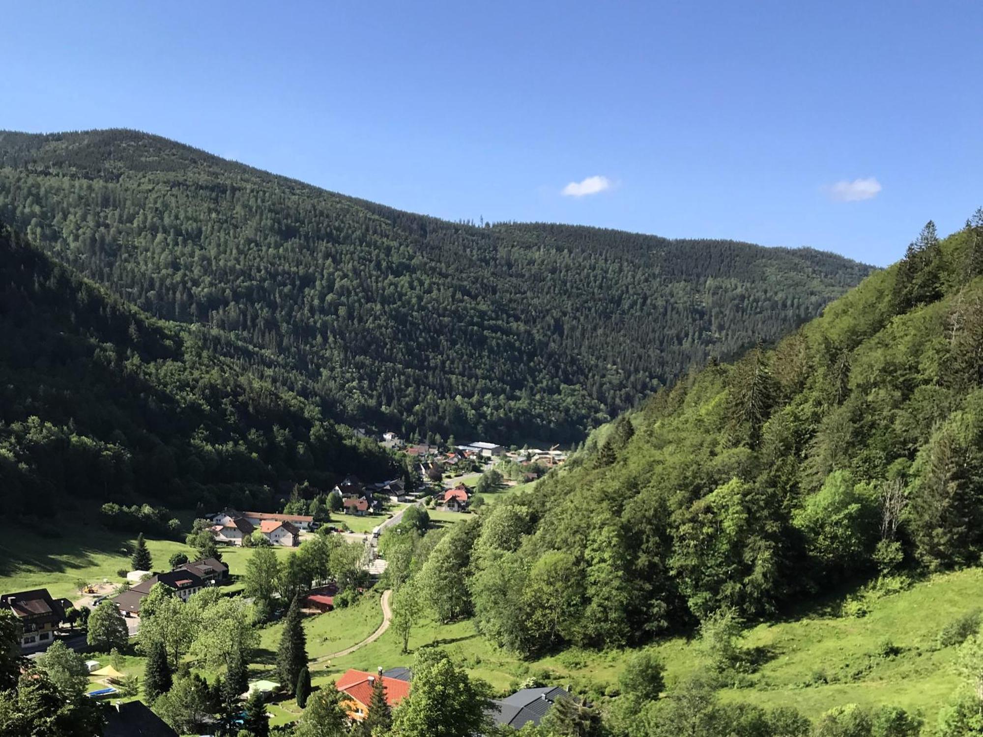 Ferienwohnung Ella, 95Qm, Terrasse Todtnau Eksteriør bilde